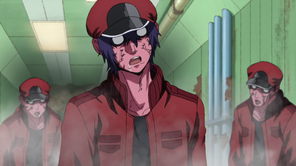cells at work BLACK cells at work BLACK
